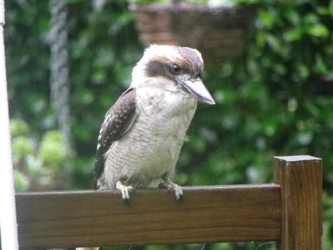 Food & Drinks, Werekataba Self-Catering Residence, Lake Macquarie - North