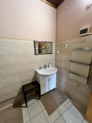 Bathroom 2, House Girska Rika, Skolivs'kyi