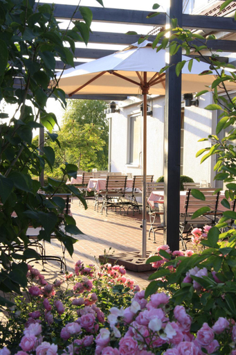 Food & Drinks 5, H.W.S. Hotel Der Wilde Schwan, Vorpommern-Rügen