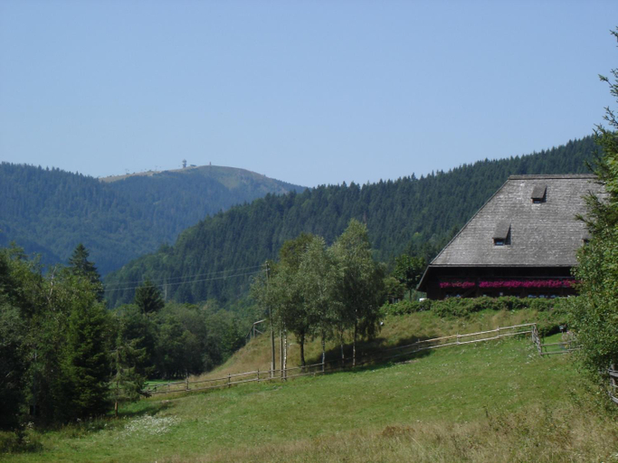 Others 4, Hotel Restaurant Peterle, Breisgau-Hochschwarzwald