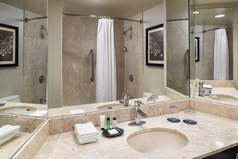 Bathroom 2, Sheraton Chicago O Hare Airport Hotel, Cook