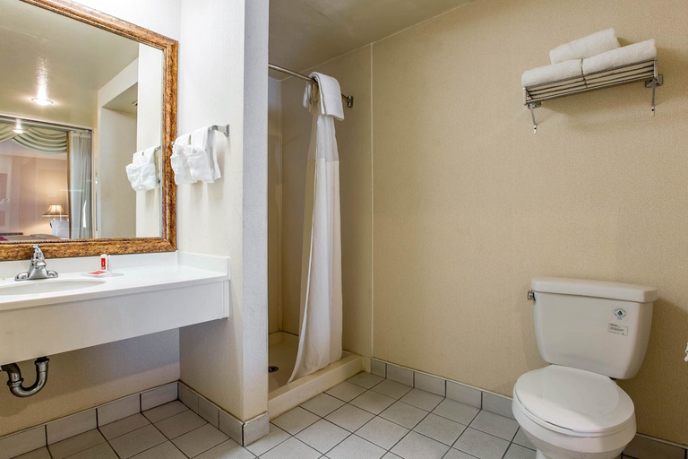 Bathroom 4, Econo Lodge Inn & Suites Riverside - Corona, Riverside