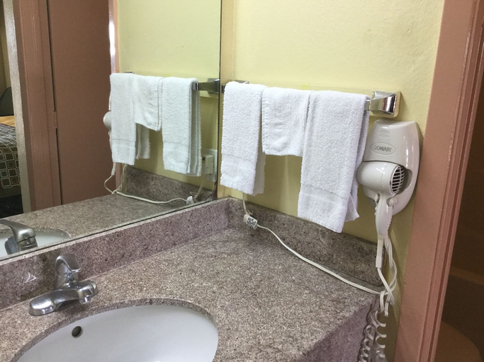 Bathroom 3, Palace Inn, Bexar