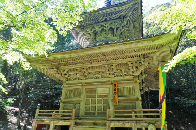 Exterior & Views 1, Morizuya, Toyooka