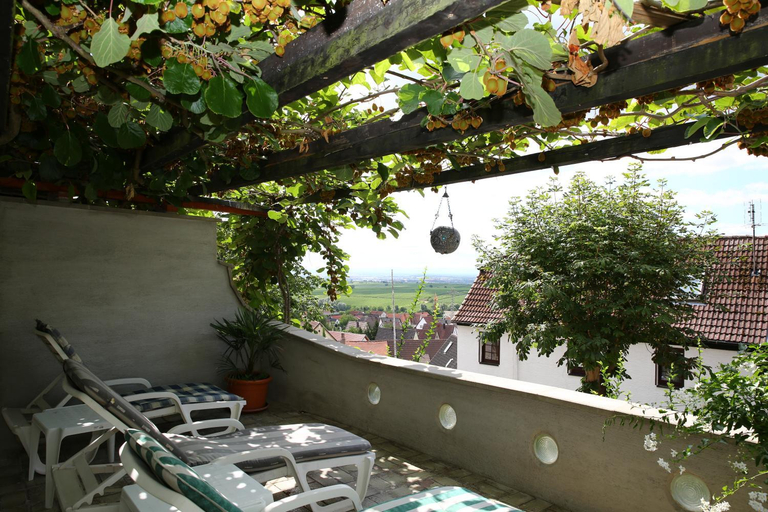 Others 4, Pension Weinberg mit Landhaus Nizza, Südliche Weinstraße