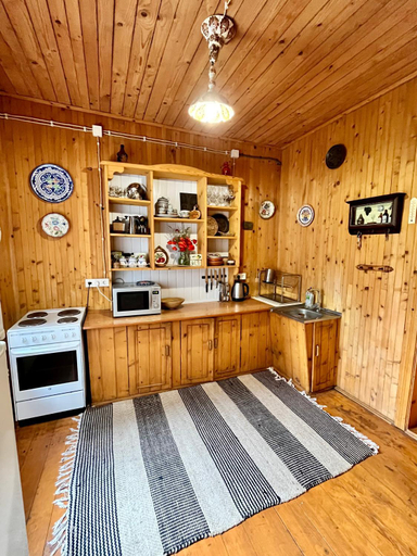 Others 3, House Girska Rika, Skolivs'kyi