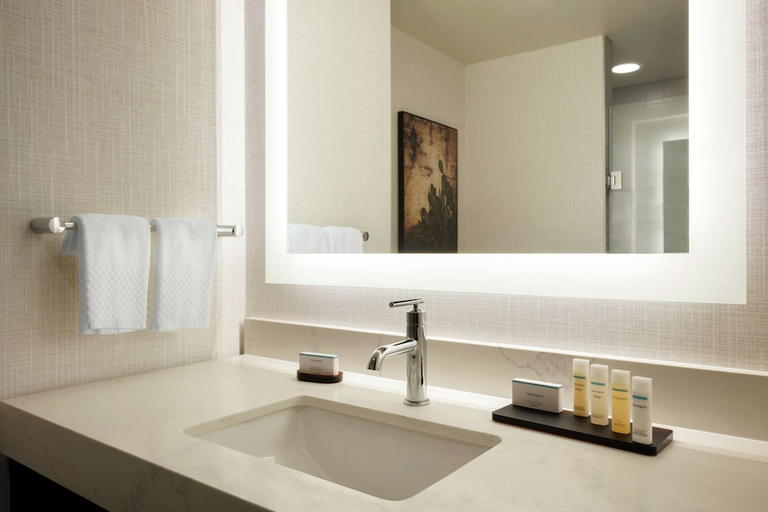 Bathroom 4, Embassy Suites by Hilton San Antonio Landmark, Bexar