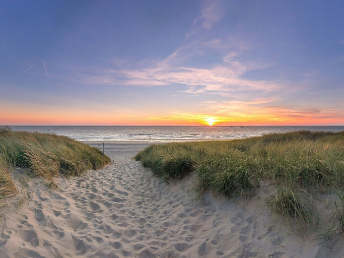 View from property 5, Villa on Texel near Beach and Forest, Texel