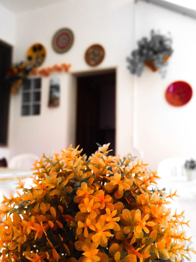 Others 2, Vacanze Siciliane, Trapani