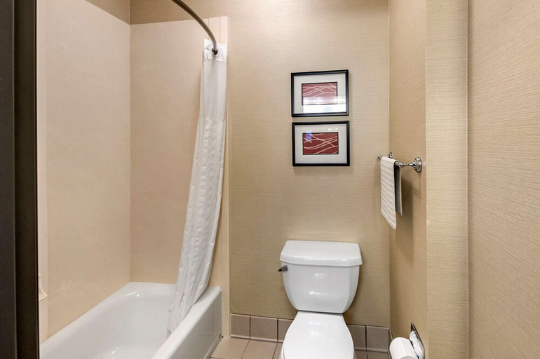 Bathroom 3, The Atrium Hotel, San Mateo