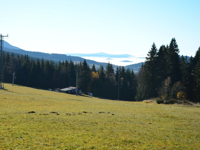 Others 5, Cozy Forest Adventure Stay, Klatovy