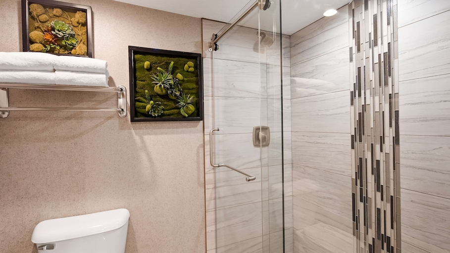 Bathroom 5, Aiden by Best Western St. George, Washington