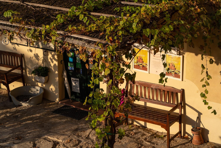Public Area, Torraccia di Chiusi, Siena