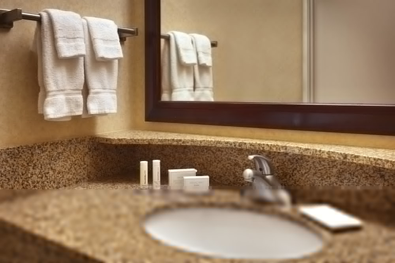Bathroom 4, SpringHill Suites by Marriott Salt Lake City Downtown, Salt Lake