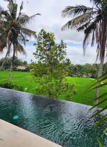 Swimming Pool 10