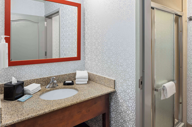 Bathroom 4, Hampton Inn Fairmont, Martin