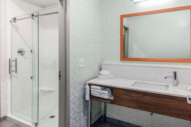 Bathroom 4, Hampton Inn & Suites Indianapolis West Speedway, Marion