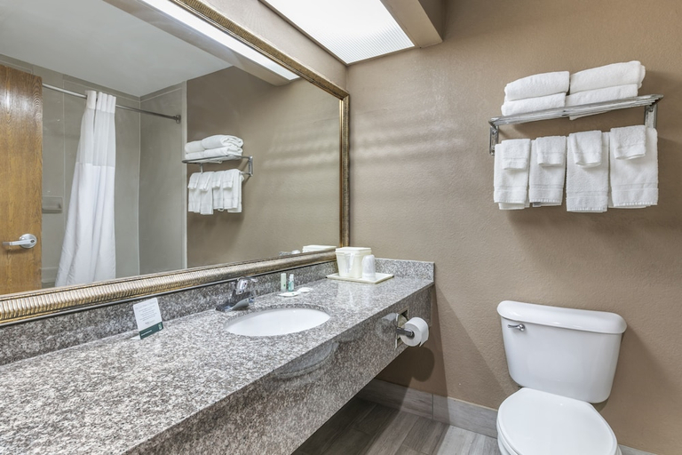 Bathroom 3, Quality Inn Rogersville, Hawkins