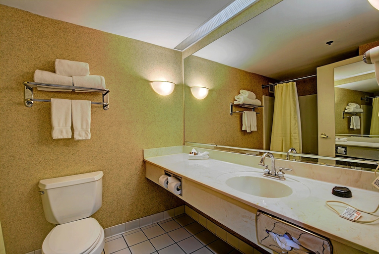 Bathroom 5, Fitz Tunica Casino & Hotel, Trademark Collection by Wyndham, Tunica