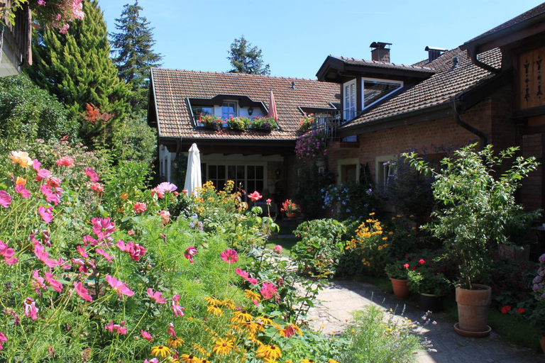 Others 4, Hotel zur Krone, Breisgau-Hochschwarzwald