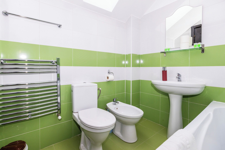 Bathroom 3, Vila Luca, Fundata