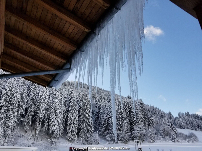 View from property 3, Group Holiday Apartment in Oberau With Pool use, Kufstein