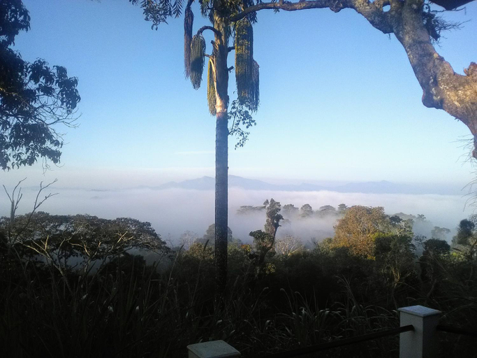 Others 5, Forestdale Coorg, Kodagu