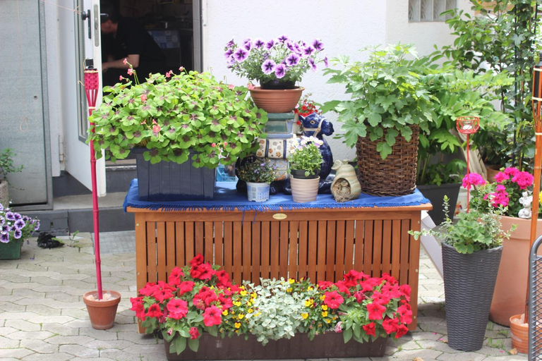 Others 3, Restaurant / Pension Mainzer Tor, Vogelsbergkreis