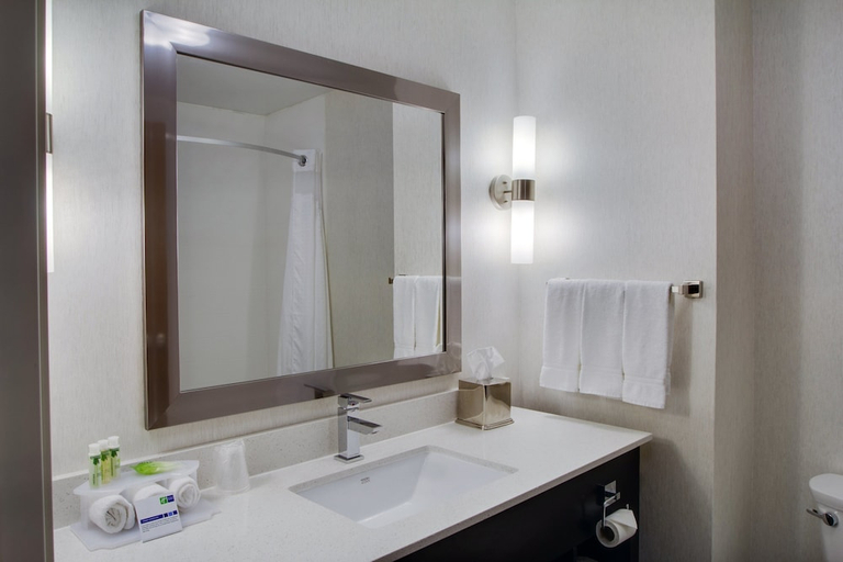 Bathroom, Holiday Inn Express & Suites SIDNEY by IHG, Shelby