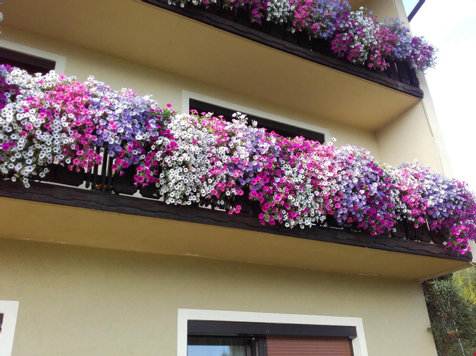 Appartement - Ferienwohnungen - Gastehaus Gabriele, Villach