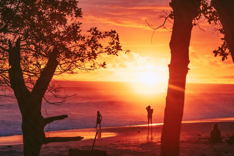 Others 5, Blue Surf Sanctuary, Puntarenas