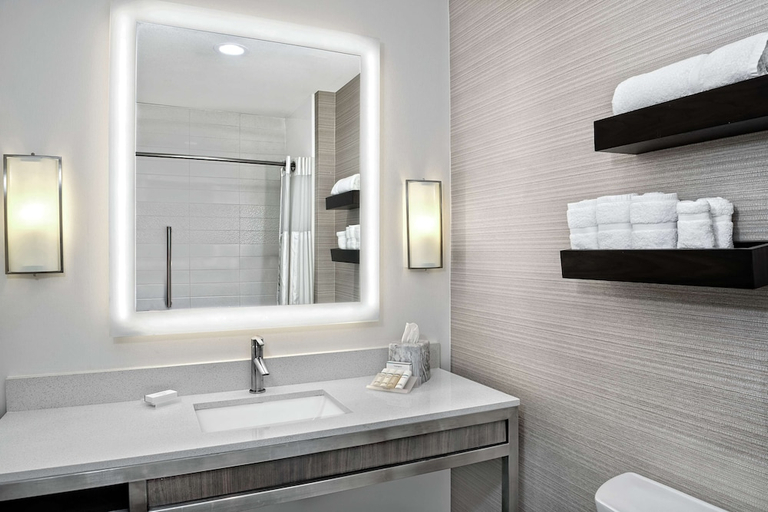 Bathroom 4, Hilton Garden Inn San Marcos, Hays