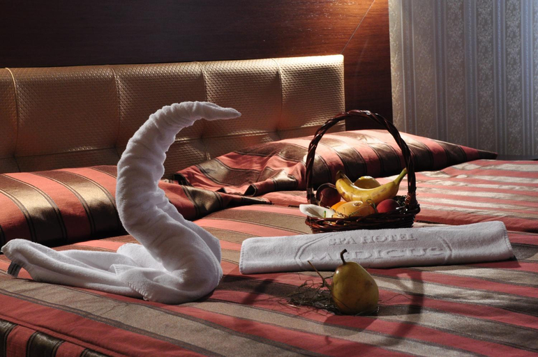 Bedroom 4, Spa Hotel Medicus, Varshets