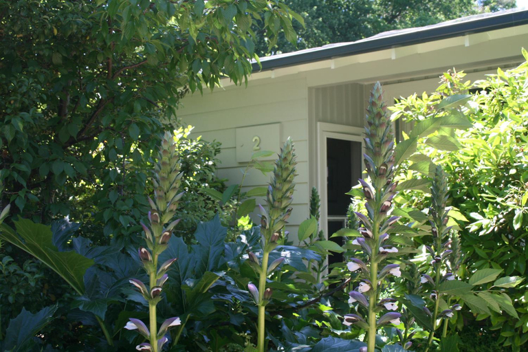 Exterior 15