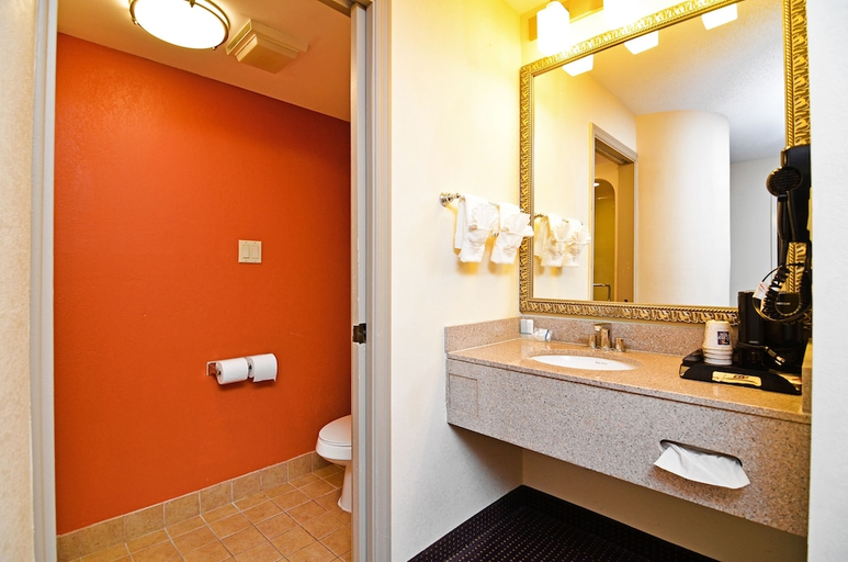 Bathroom 4, Sleep Inn Savannah Gateway I-95, Chatham