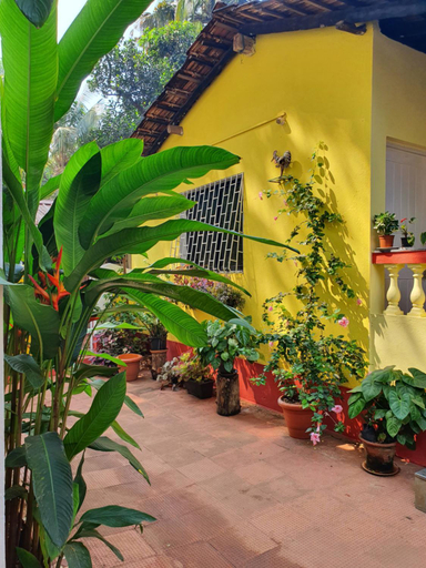 Garden 5, Fatima Guest House, North Goa