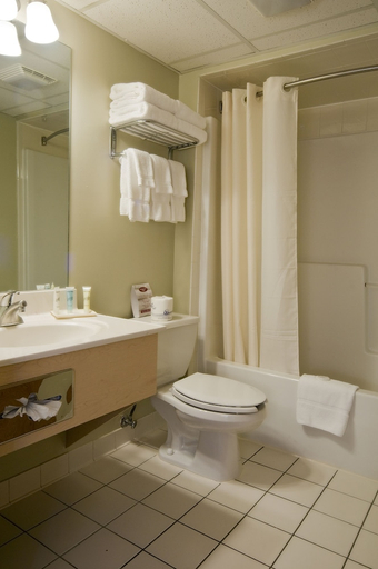 Bathroom 4, Meadowlands Plaza Hotel, Secaucus