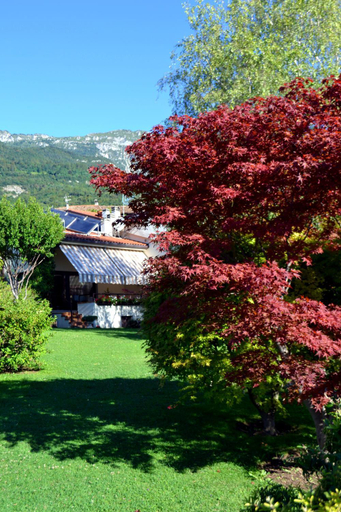 Others 5, B&B La Betulla, Trento