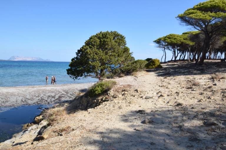 Others 3, Villa Del Sole In Budoni Sea View, Nuoro