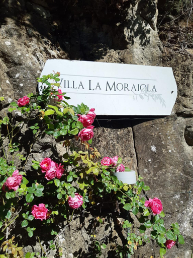 Facilities 3, Villa La Moraiola, Perugia