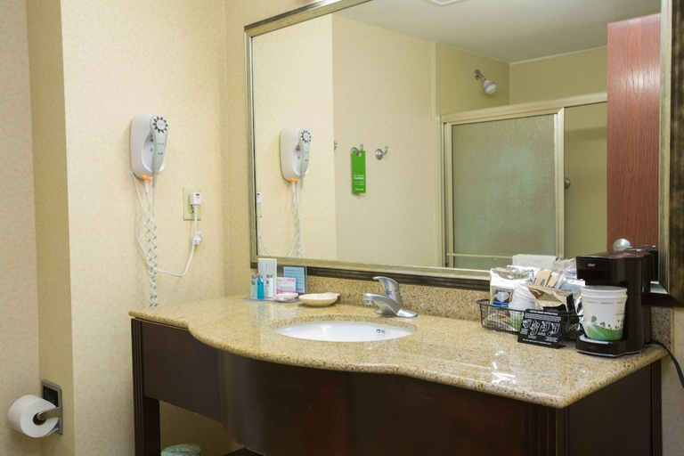 Bathroom 4, Hampton Inn&Suites Savannah - I-95 South - Gateway, Chatham