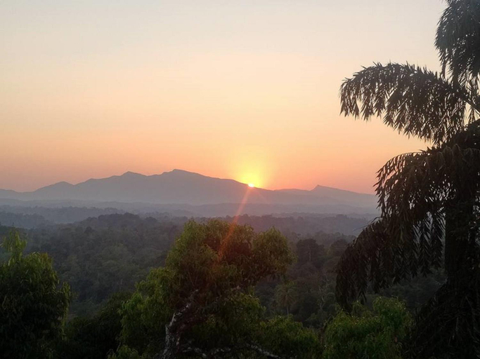 Others 5, Forestdale Coorg, Kodagu