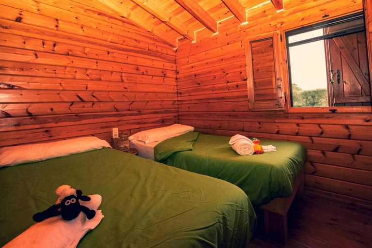 Others 2, Ecologic Vinyols Camp, Tarragona