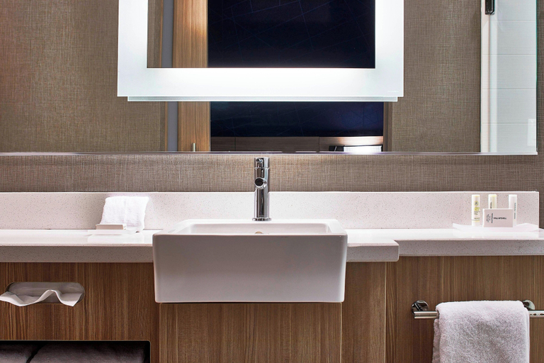 Bathroom 5, SpringHill Suites by Marriott Nashville Downtown/Convention Center, Davidson