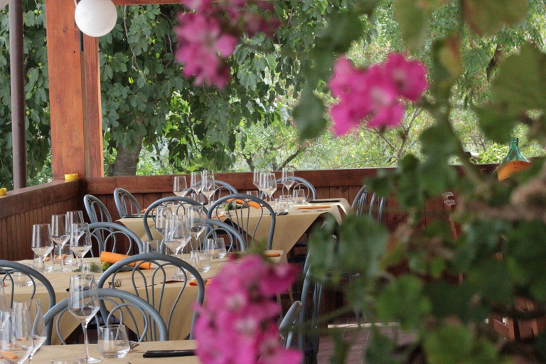 Food & Drinks 5, Agriturismo La Valle del Vento Urbino, Pesaro E Urbino