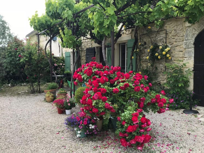 Property grounds 4, Oud Wijnhuis Mas, Bouches-du-Rhône