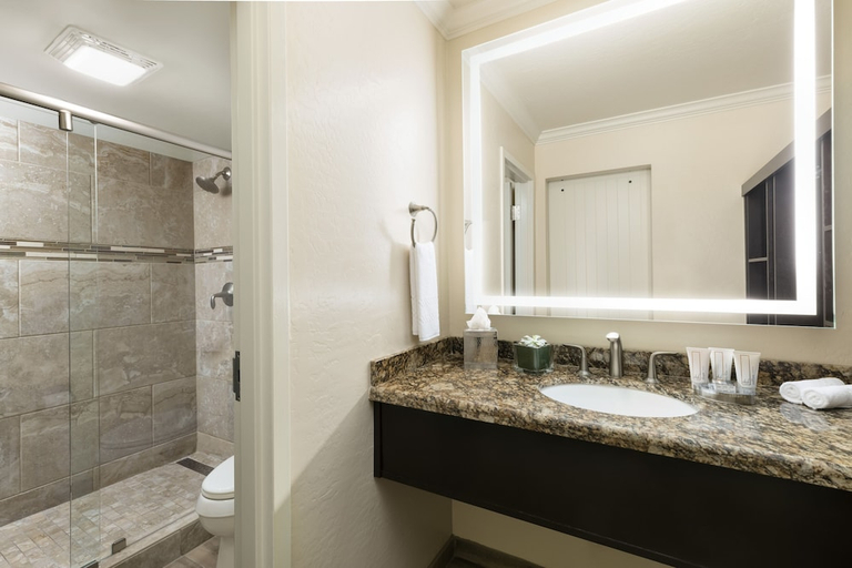 Bathroom, SCOTTSDALE PLAZA RESORT by IHG, Maricopa