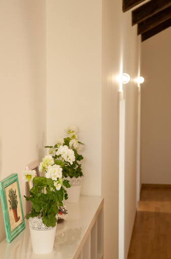 Others 5, CAESAR b&b NAPOLI, Napoli
