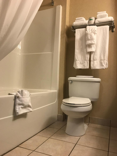 Bathroom 4, Comfort Inn & Suites, Division No. 6