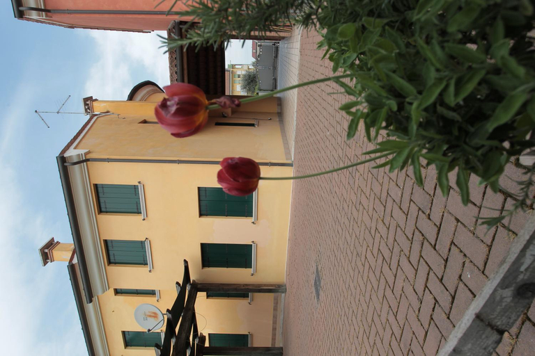 Others 5, B&B Ca' Gialla, Padua